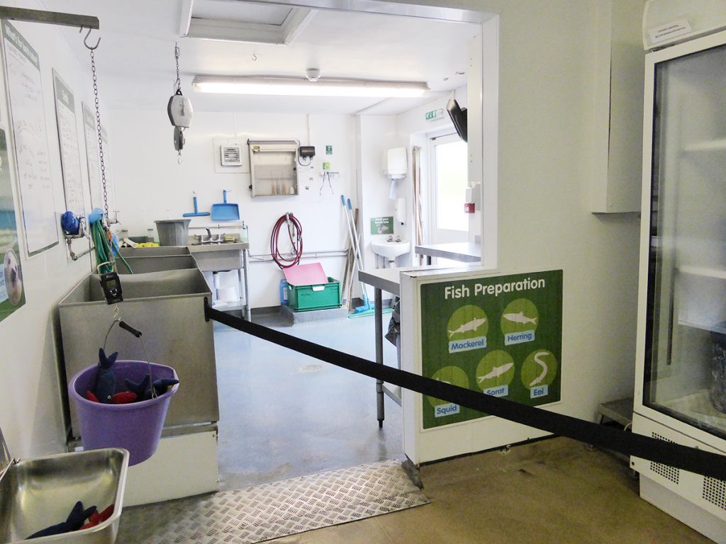 Fish preparation area in the seal hospital at the Cornish Seal Sanctuary