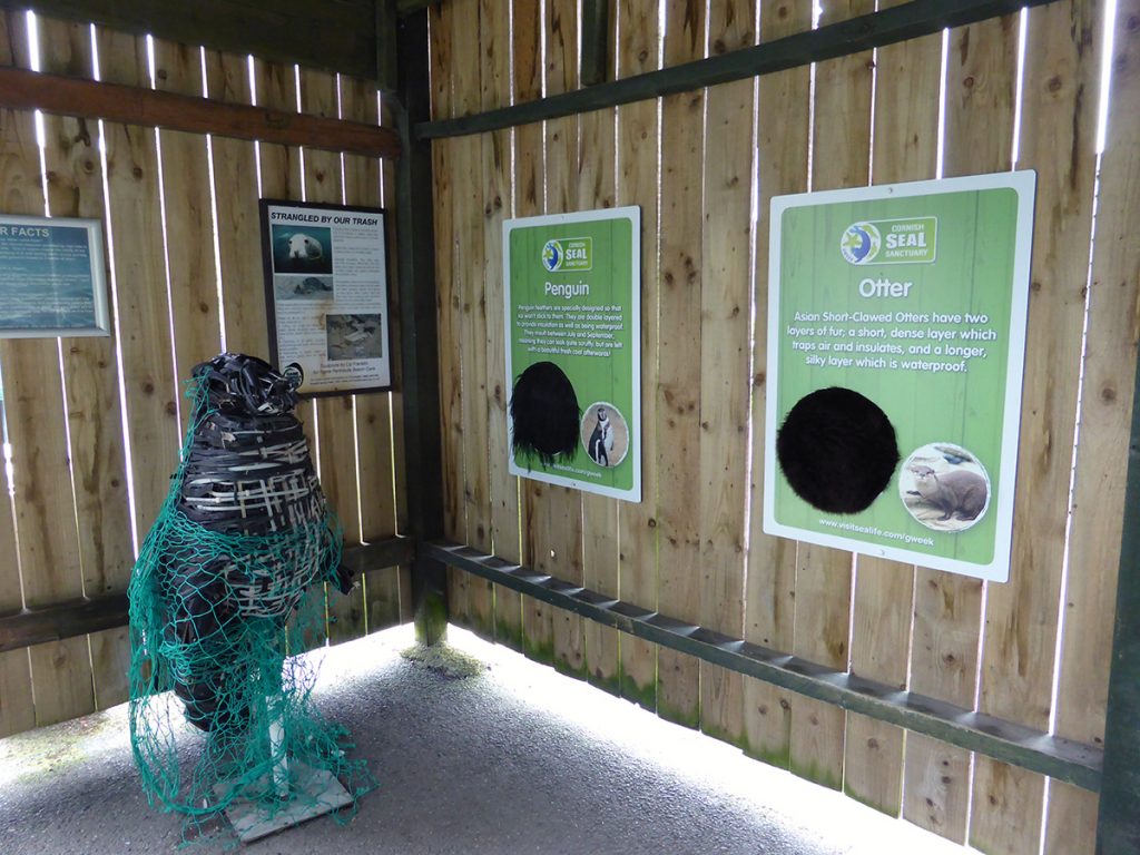 Informational display at Cornish Seal Sanctuary