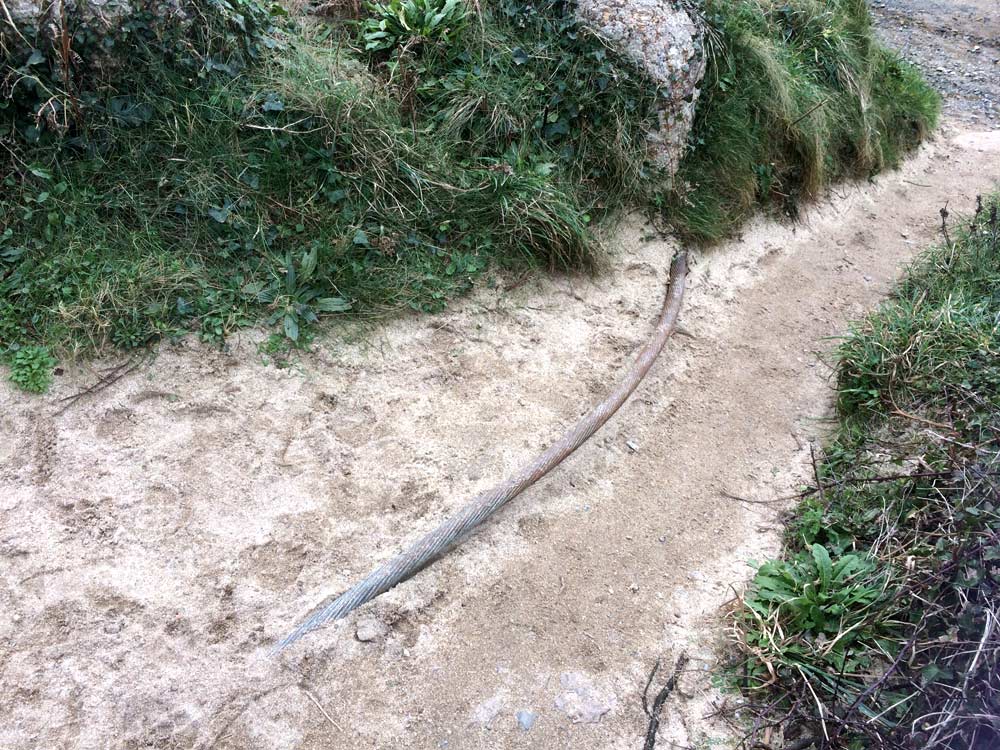 A telegraph cable leaving Porthcurno
