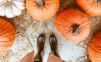 where to go pumpkin picking in Cornwall Cornish Traditional Cottages holiday staycation family day trip halloween October dog friendly